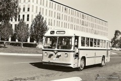 Bus-015-Russell-Drive