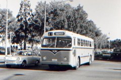 Bus-071-Northbourne-Avenue