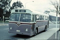 Bus079-1