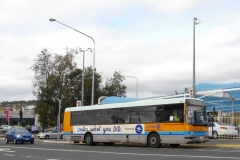 Bus-100-Cohen-Street