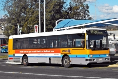 Bus-101-Cohen-Street