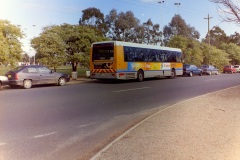 Bus-103-Antill St