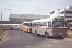 Bus106-Woden Interchange-1