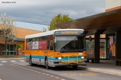 Bus110-GungahlinPl-1