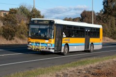 Bus-115-William-Slim-Dr