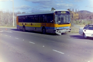 BUS 116