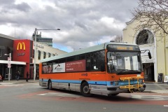 Bus-117-City-Bus-Station