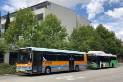 Bus-120-Tuggeranong-Bus-Station-with-Bus-383-