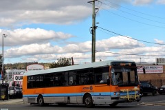 Bus-121-Cohen-Street-Bus-Station