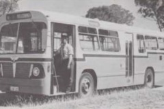 Bus-122-Lachlan-Street