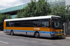 Bus128-Woden-1