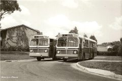 Buses 132 and 147 - Hackett Terminus