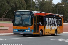 Bus-141-Anzac-Parade
