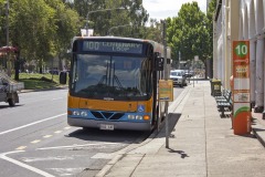 Bus-141-Northbourne-Avenue