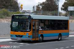 Bus-142-Cohen-Street