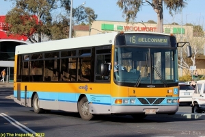 BUS 145-2