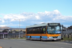 Bus-145-Bernard-Heinze-Avenue