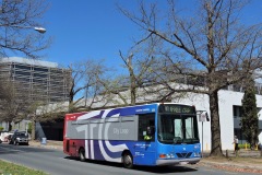 Bus-145-Torrens-Street