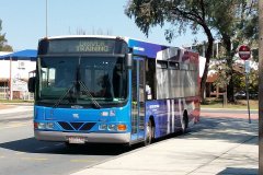 Bus145-Kippax-1