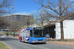 Bus-151-Torrens-Street-2