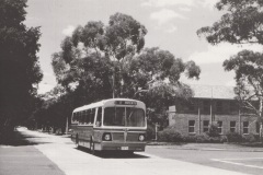 Bus-154-Brisbane Ave