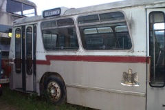 Bus 156