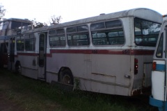 Bus 156