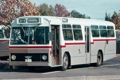 Bus167-AECSwiftCVI