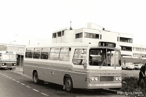 BUS 226-1