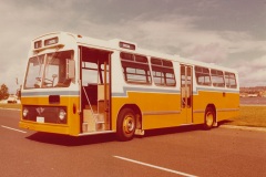 Bus-229