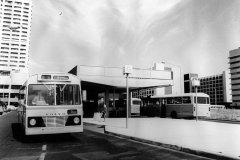 Bus-237-Woden-Interchange