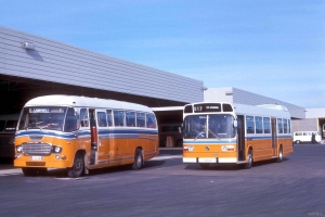 BUS 248-1