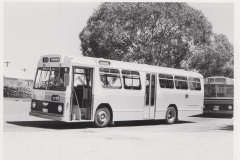 Bus 255