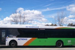 Bus-302-Tuggeranong-2