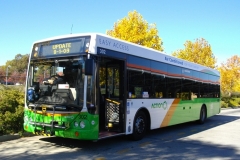 Bus-302-Tuggeranong-Interchange