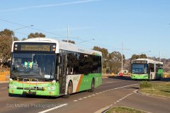 Bus302-Flemington-1-with464