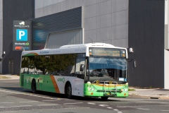 Bus302-ErnestCavanagh-1
