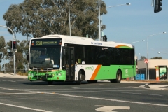 Bus-304-Cohen-Street