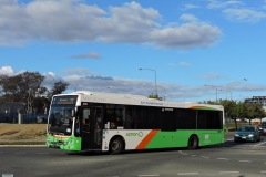 Bus-305-Ernest-Cavanagh-Street