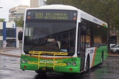 Bus-306-London-Circuit