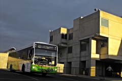 Bus-308-Belconnen-Interchange-2