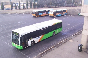 BUS 310-2