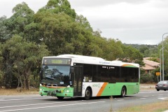 Bus-310-College-Street