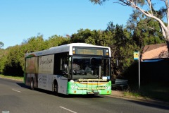 Bus-311-Dalley-Crescent