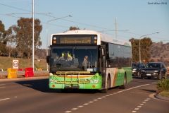 Bus-311-Flemington-Road