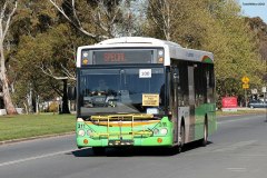 Bus-311-King-Edward-Terrace