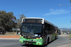 Bus-312-Box-Hill-Avenue