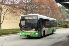 BUS314-Tuggeranong-Interchange