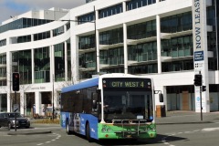 Bus-315-Constitution-Avenue