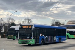 Bus-315-Woden-Bus-Station